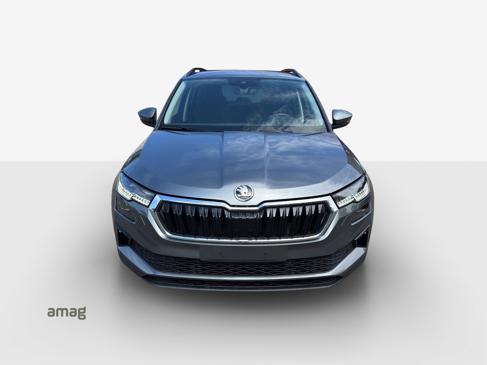 SKODA Karoq Dynamic (Netto), Benzina, Occasioni / Usate, Automatico - 7