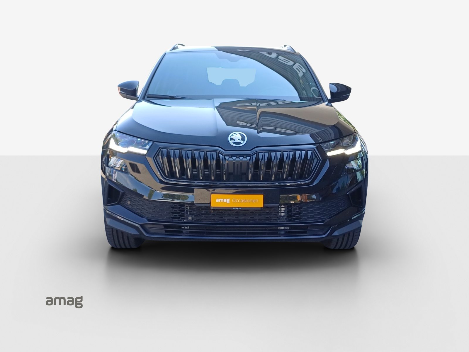 SKODA Karoq Sportline, Benzina, Occasioni / Usate, Automatico - 7