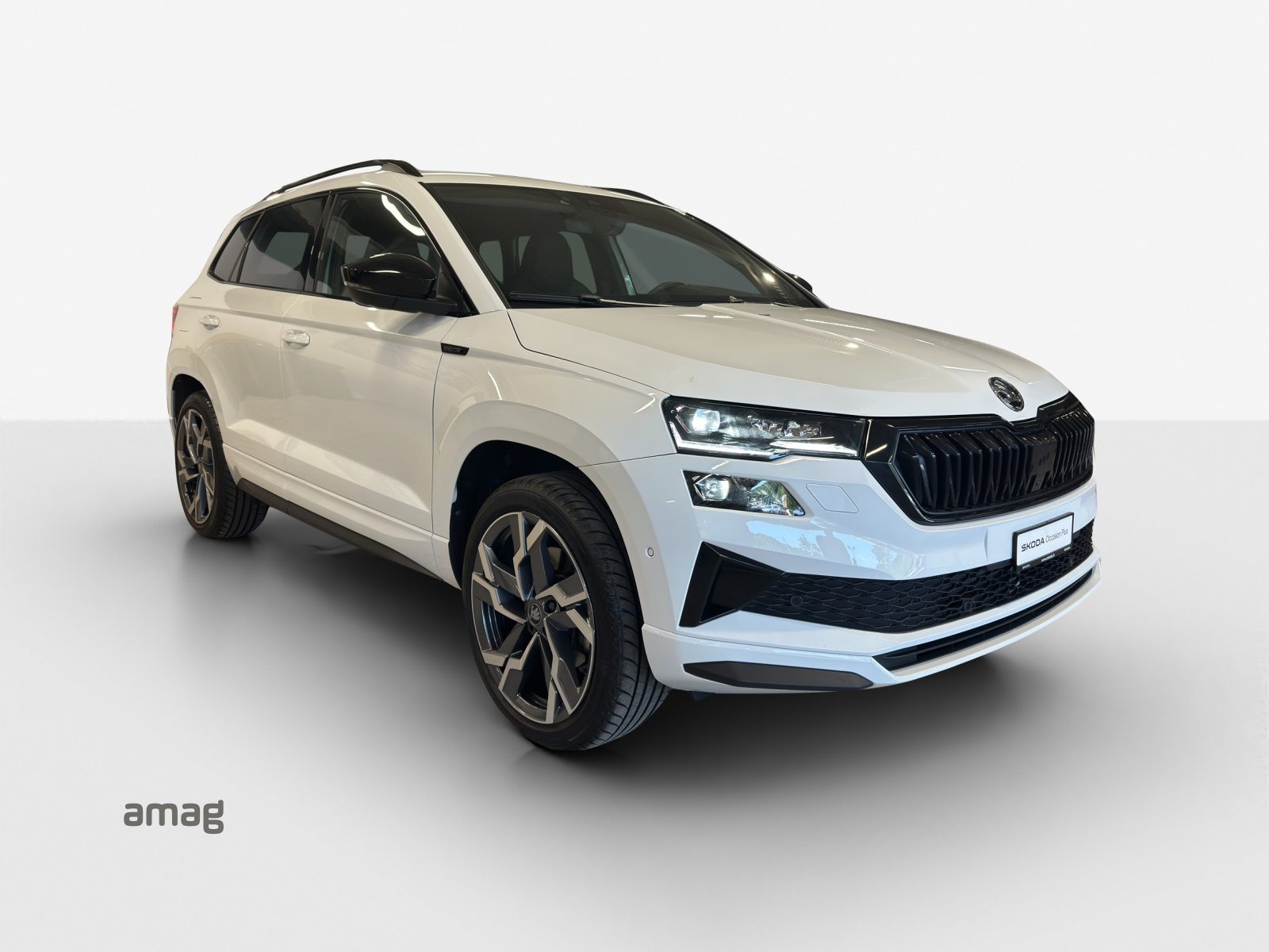 SKODA Karoq Sportline, Benzina, Occasioni / Usate, Automatico - 6