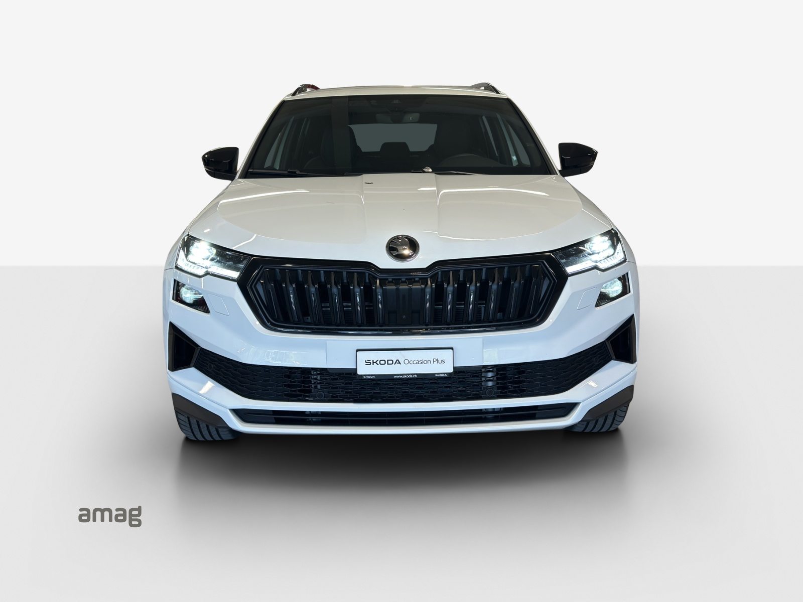 SKODA Karoq Sportline, Benzina, Occasioni / Usate, Automatico - 7
