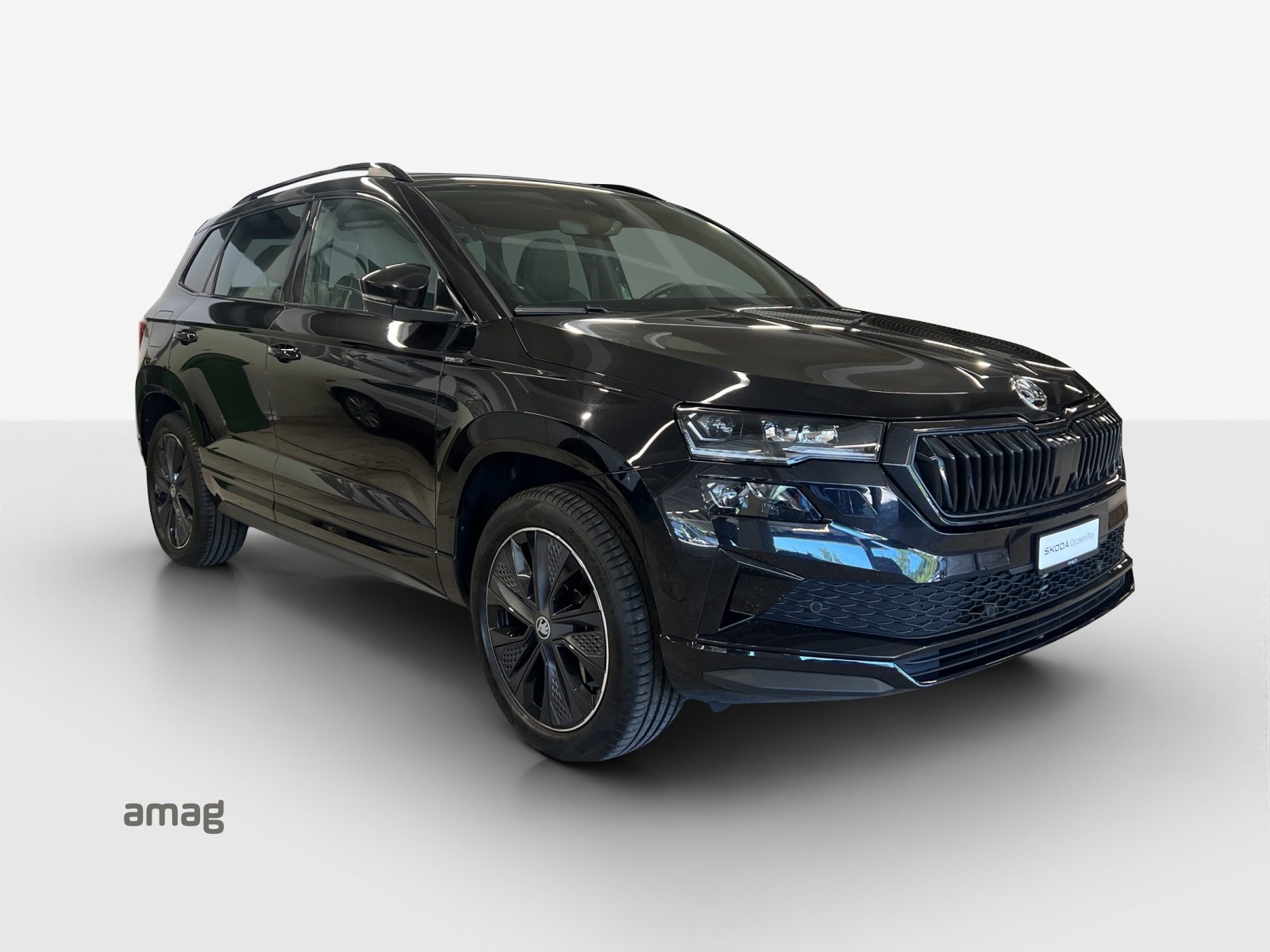 SKODA Karoq Sportline, Essence, Occasion / Utilisé, Automatique - 6