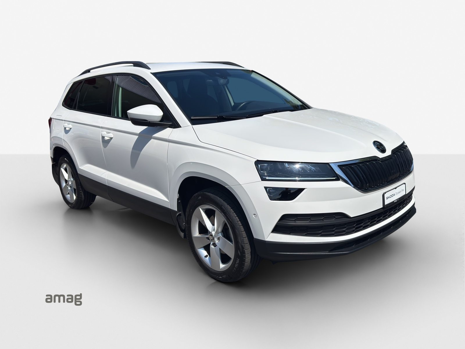 SKODA KAROQ Ambition, Benzina, Occasioni / Usate, Automatico - 6