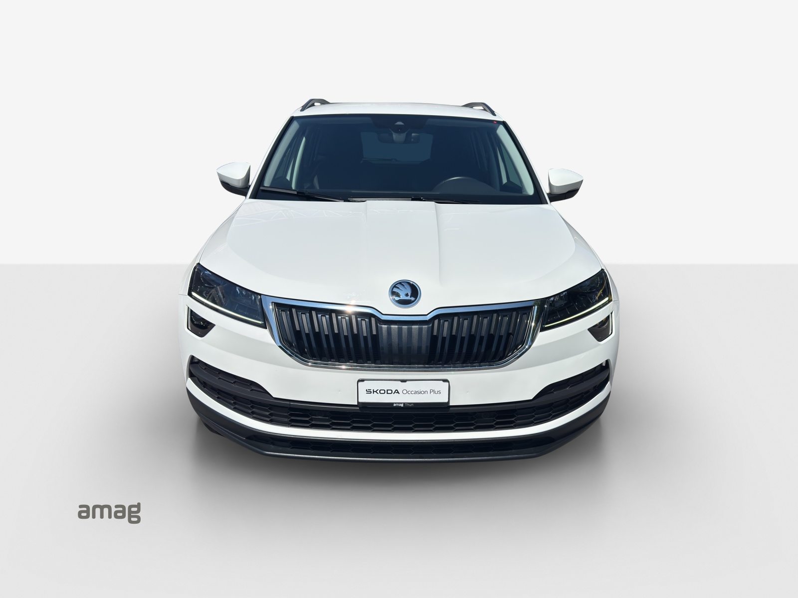 SKODA KAROQ Ambition, Benzina, Occasioni / Usate, Automatico - 7