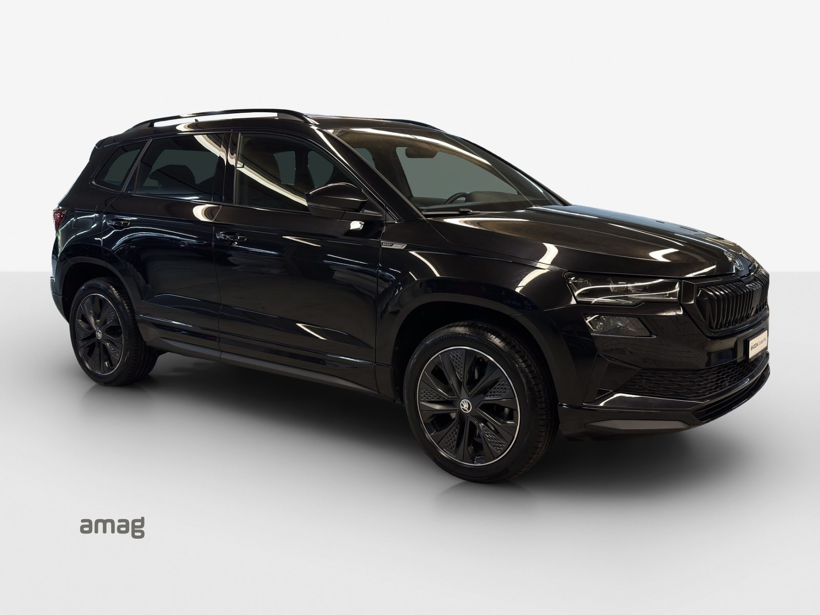 SKODA NEW KAROQ SportLine, Petrol, Second hand / Used, Automatic - 6