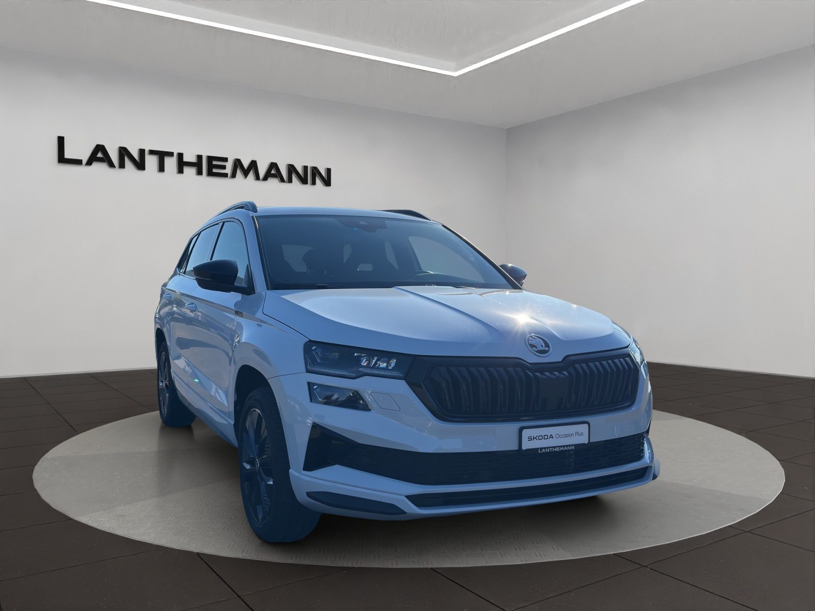 SKODA NEW KAROQ SportLine, Benzina, Occasioni / Usate, Automatico - 6