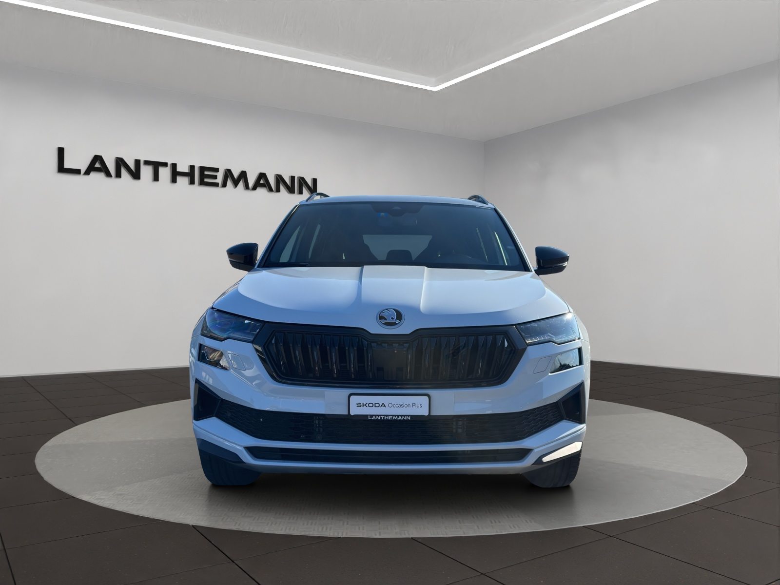 SKODA NEW KAROQ SportLine, Benzina, Occasioni / Usate, Automatico - 7
