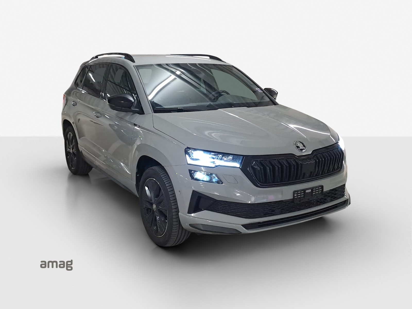 SKODA Karoq SportLine, Essence, Occasion / Utilisé, Automatique - 6
