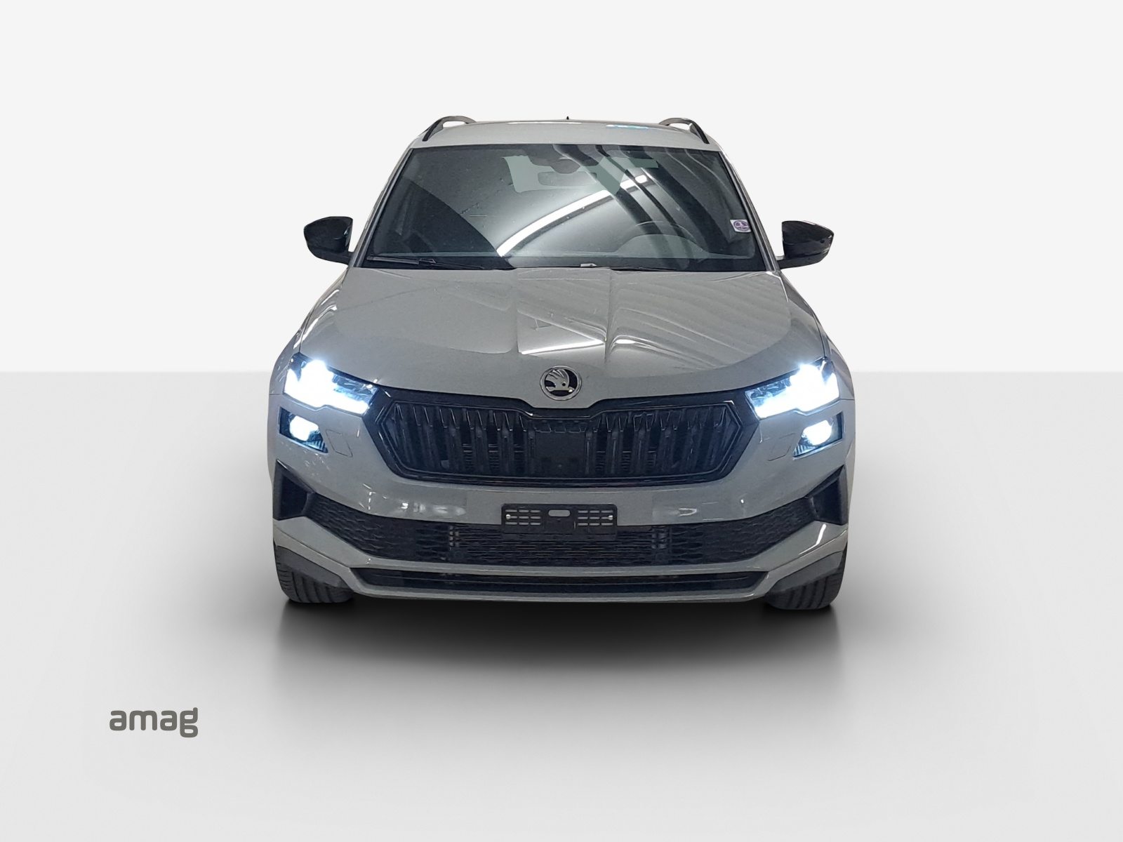 SKODA Karoq SportLine, Essence, Occasion / Utilisé, Automatique - 7