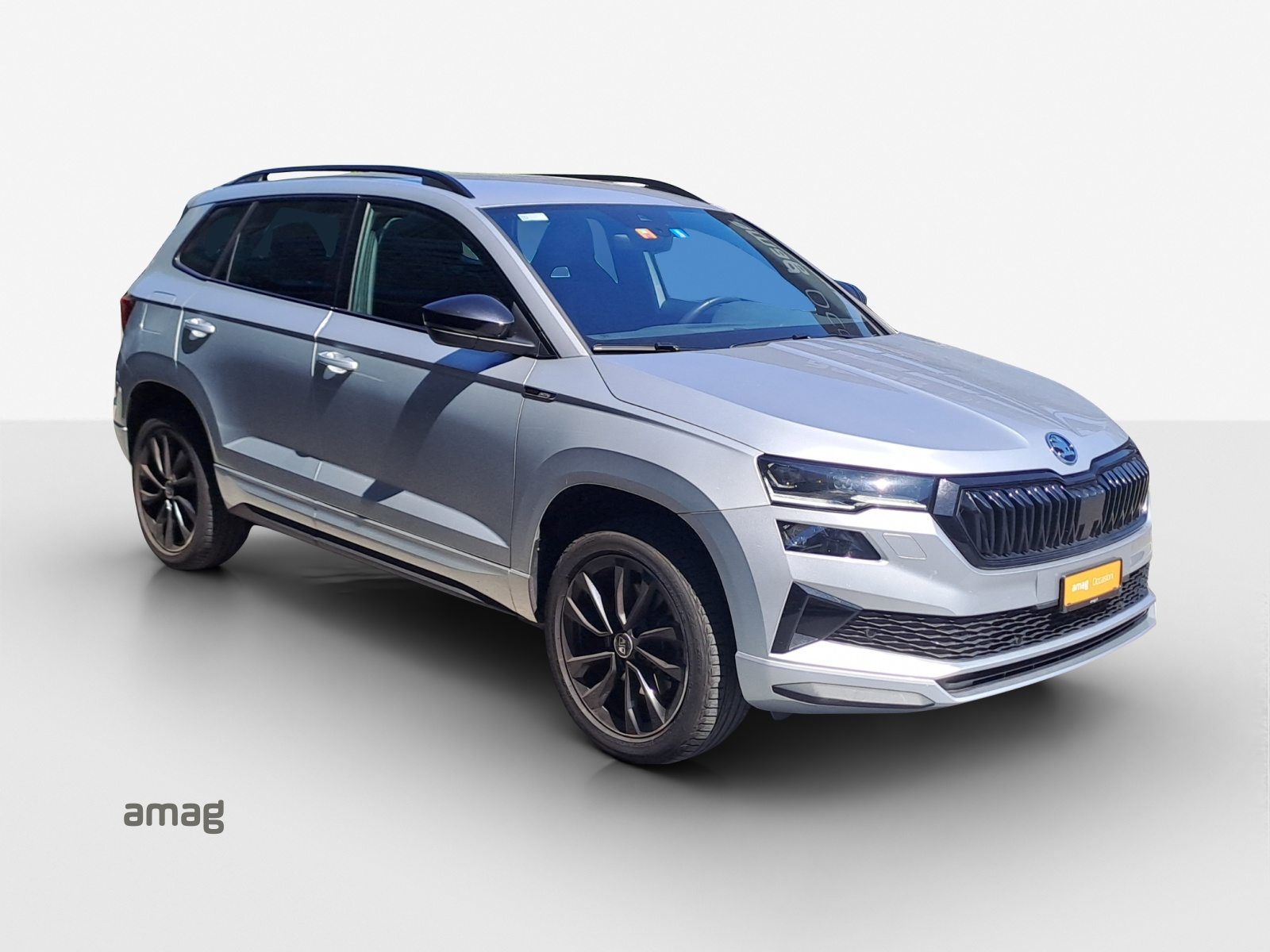 SKODA Karoq SportLine, Benzina, Occasioni / Usate, Automatico - 6
