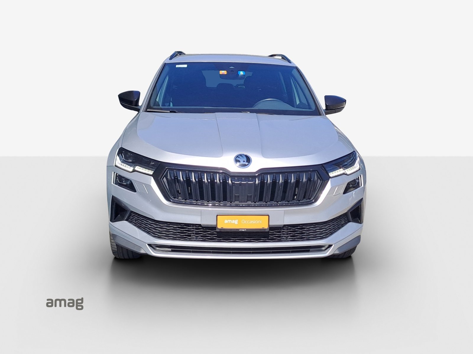 SKODA Karoq SportLine, Benzina, Occasioni / Usate, Automatico - 7