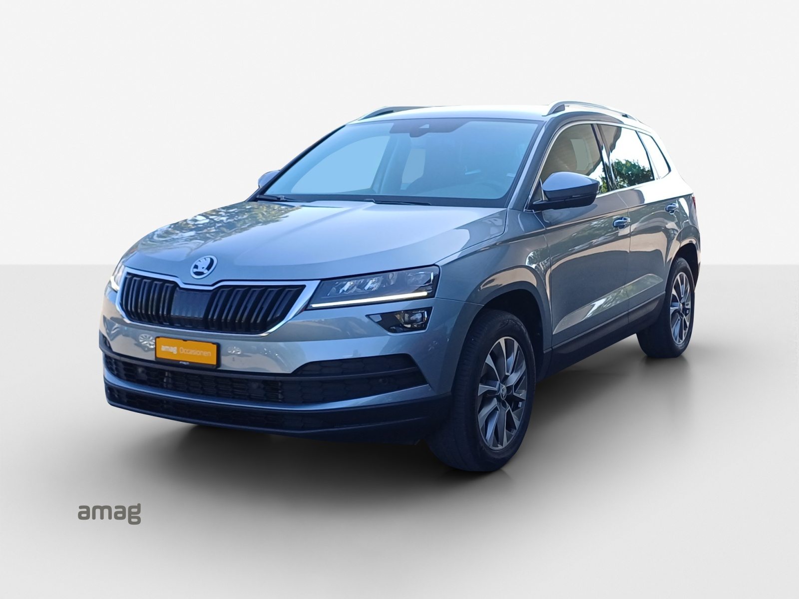 SKODA KAROQ «Clever» (Netto)