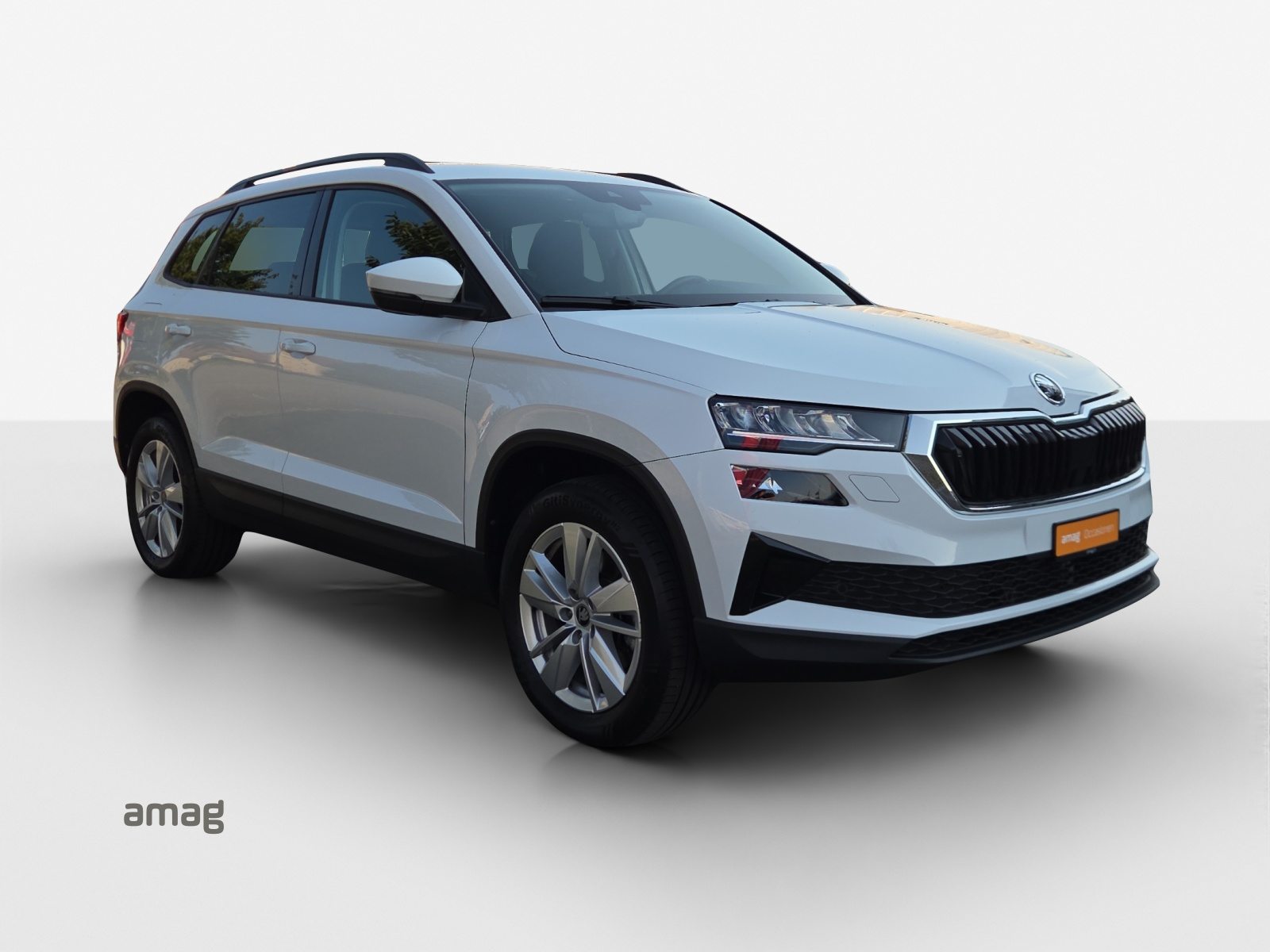 SKODA Karoq Selection, Diesel, Occasion / Gebraucht, Automatik - 6