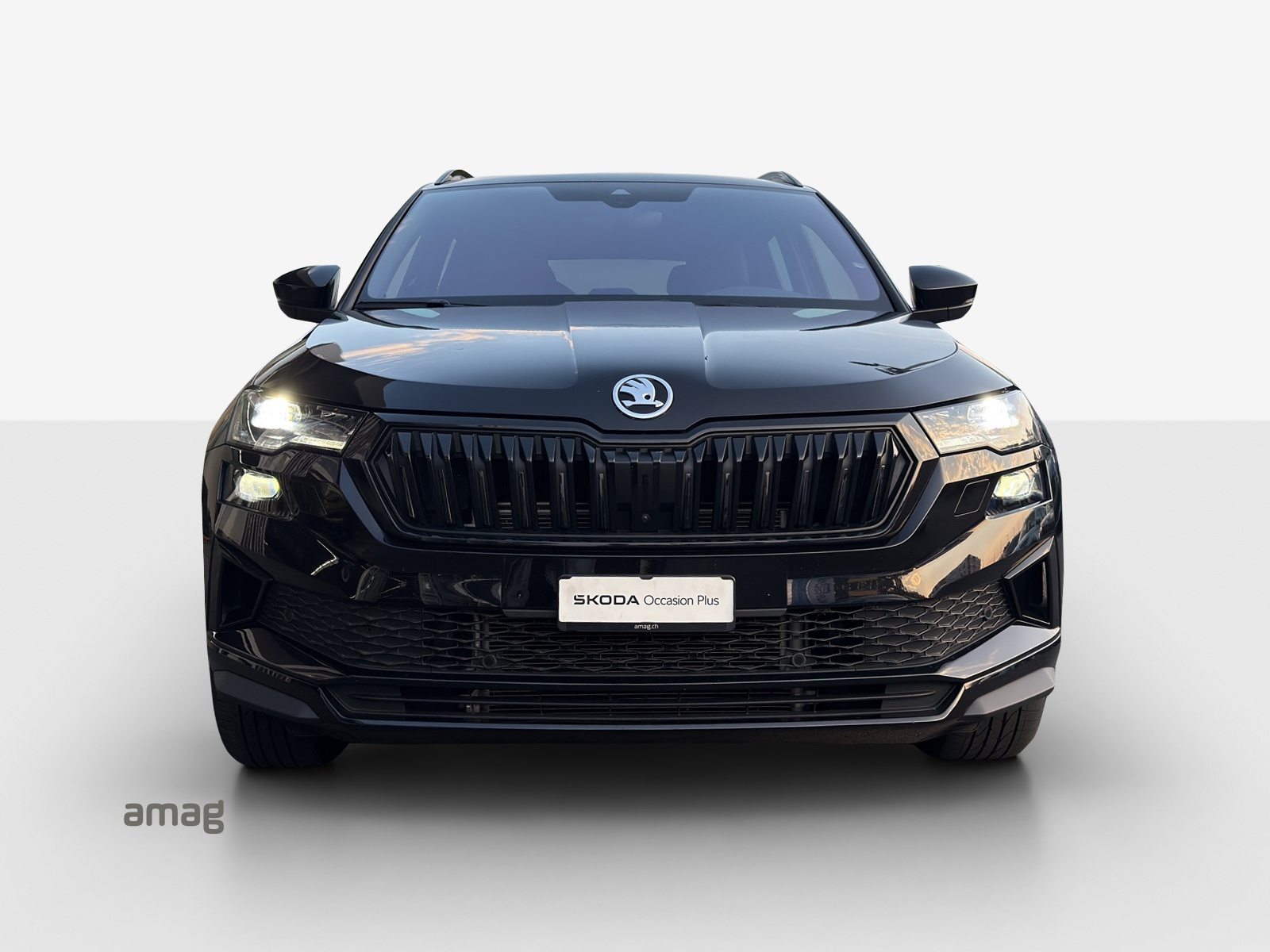SKODA NEW KAROQ SportLine, Essence, Occasion / Utilisé, Automatique - 7