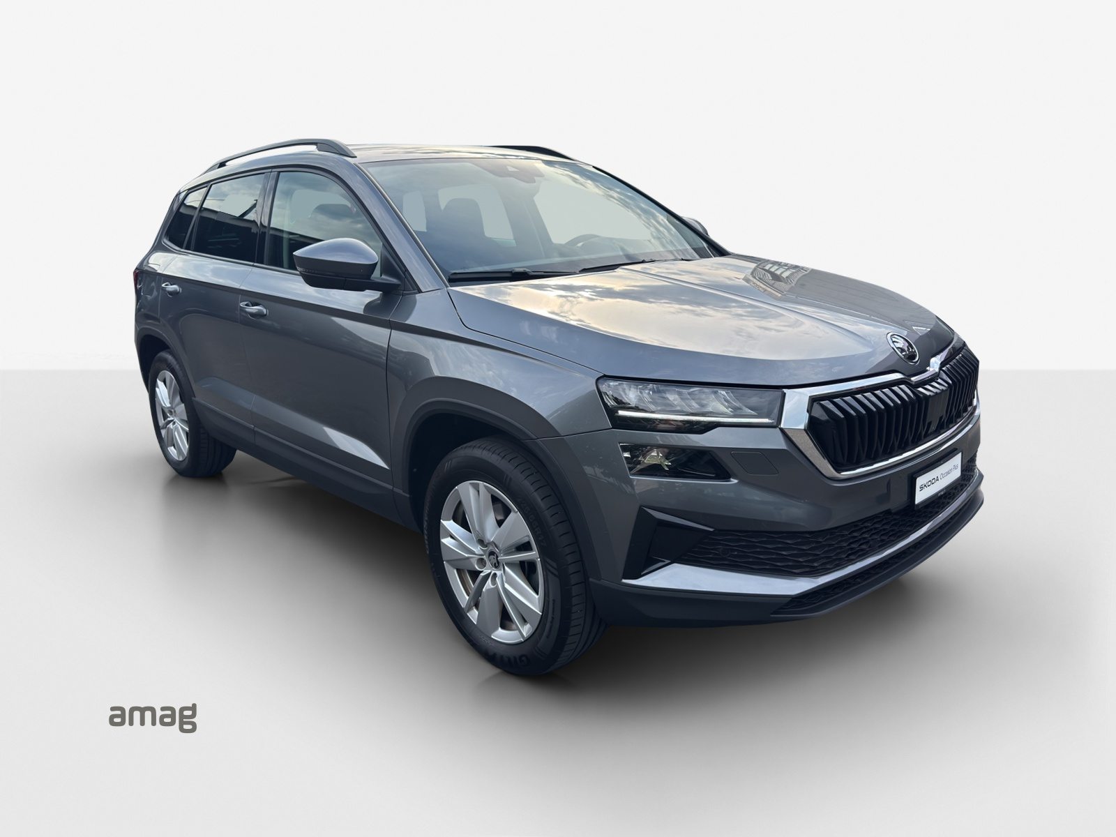 SKODA Karoq Selection, Diesel, Occasion / Utilisé, Automatique - 6