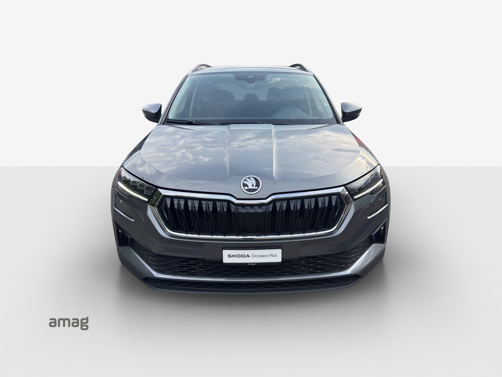 SKODA Karoq Selection, Diesel, Occasion / Utilisé, Automatique - 7