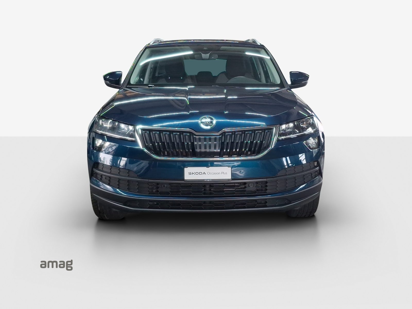 SKODA KAROQ «Drive 125» (Netto), Petrol, Second hand / Used, Manual - 7