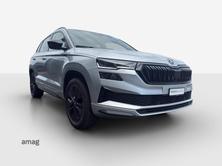 SKODA Karoq Sportline, Benzina, Occasioni / Usate, Automatico - 6