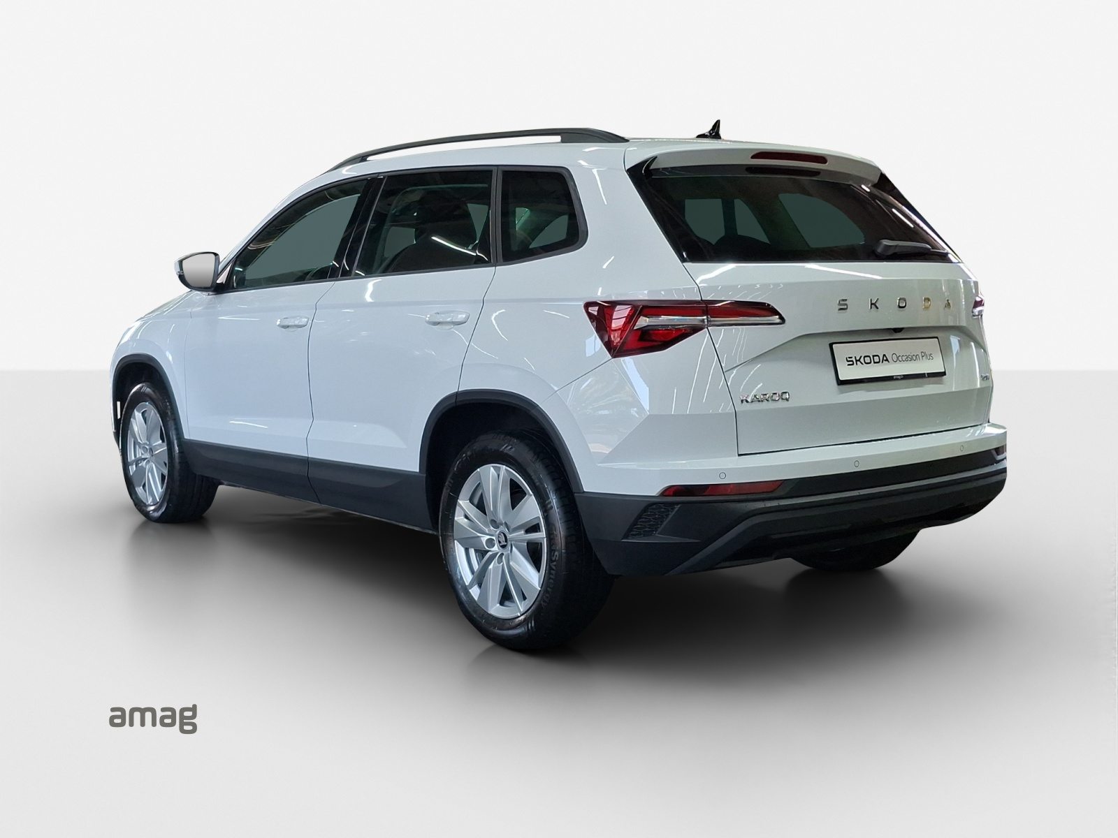 SKODA Karoq Selection, Diesel, Occasioni / Usate, Automatico - 3