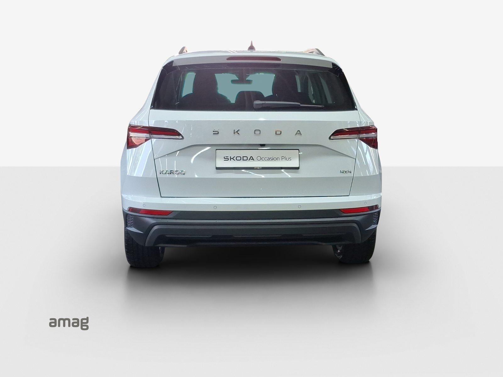 SKODA Karoq Selection, Diesel, Occasioni / Usate, Automatico - 4