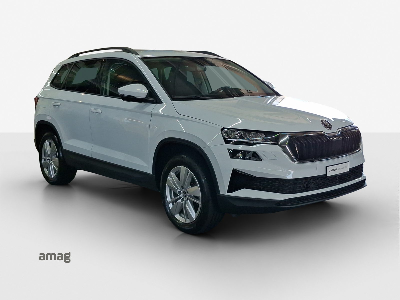 SKODA Karoq Selection, Diesel, Occasioni / Usate, Automatico - 6