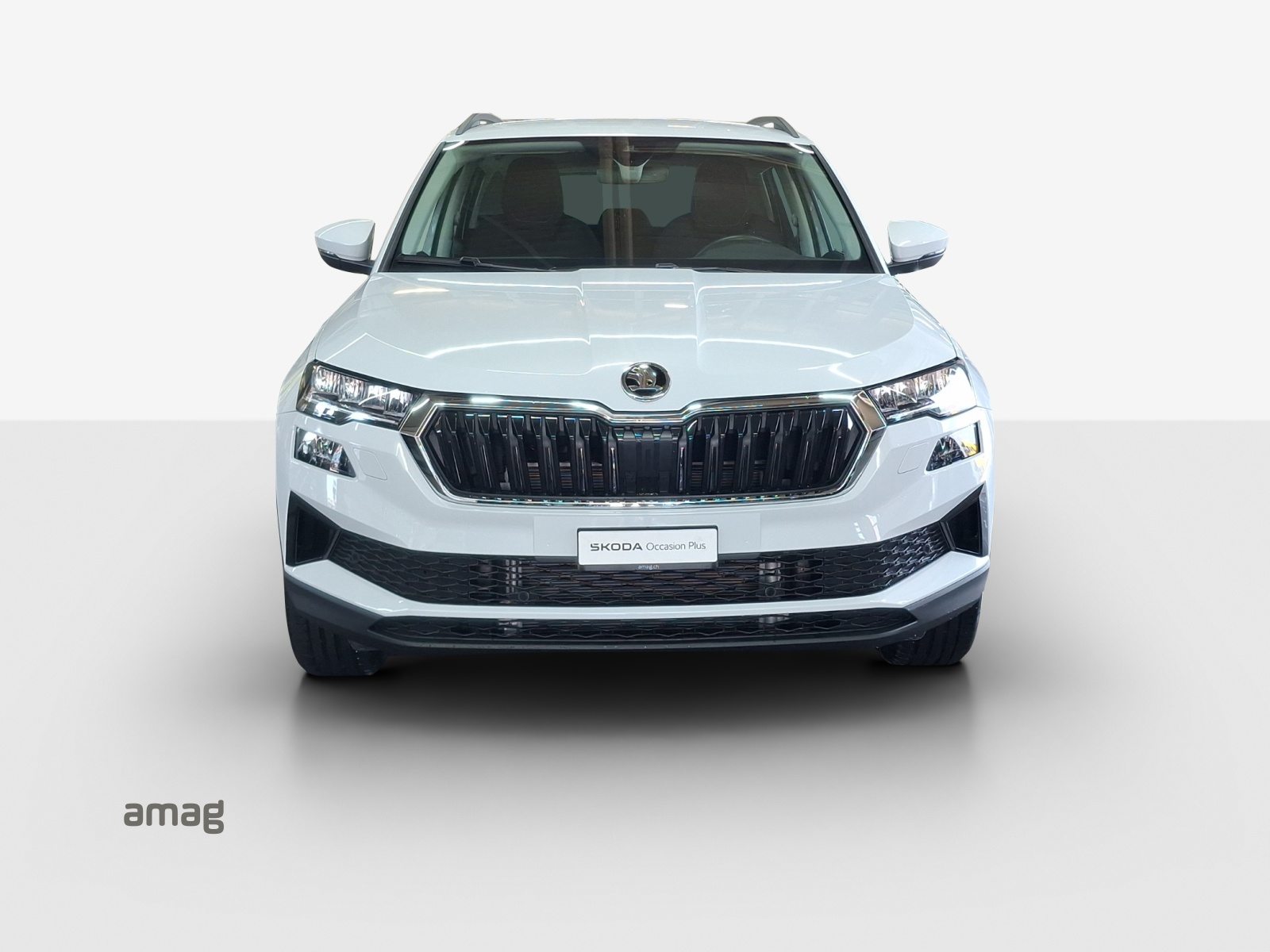 SKODA Karoq Selection, Diesel, Occasioni / Usate, Automatico - 7