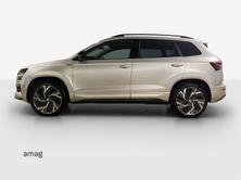 SKODA Karoq SportLine, Benzina, Occasioni / Usate, Automatico - 2