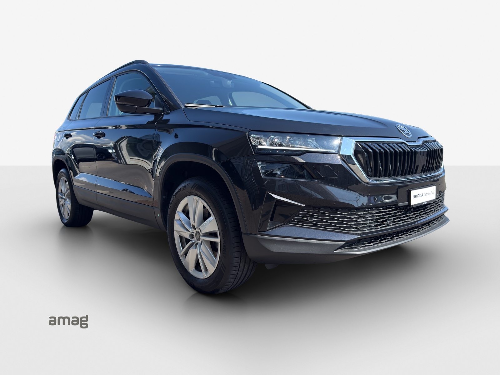 SKODA Karoq Selection, Diesel, Second hand / Used, Automatic - 6