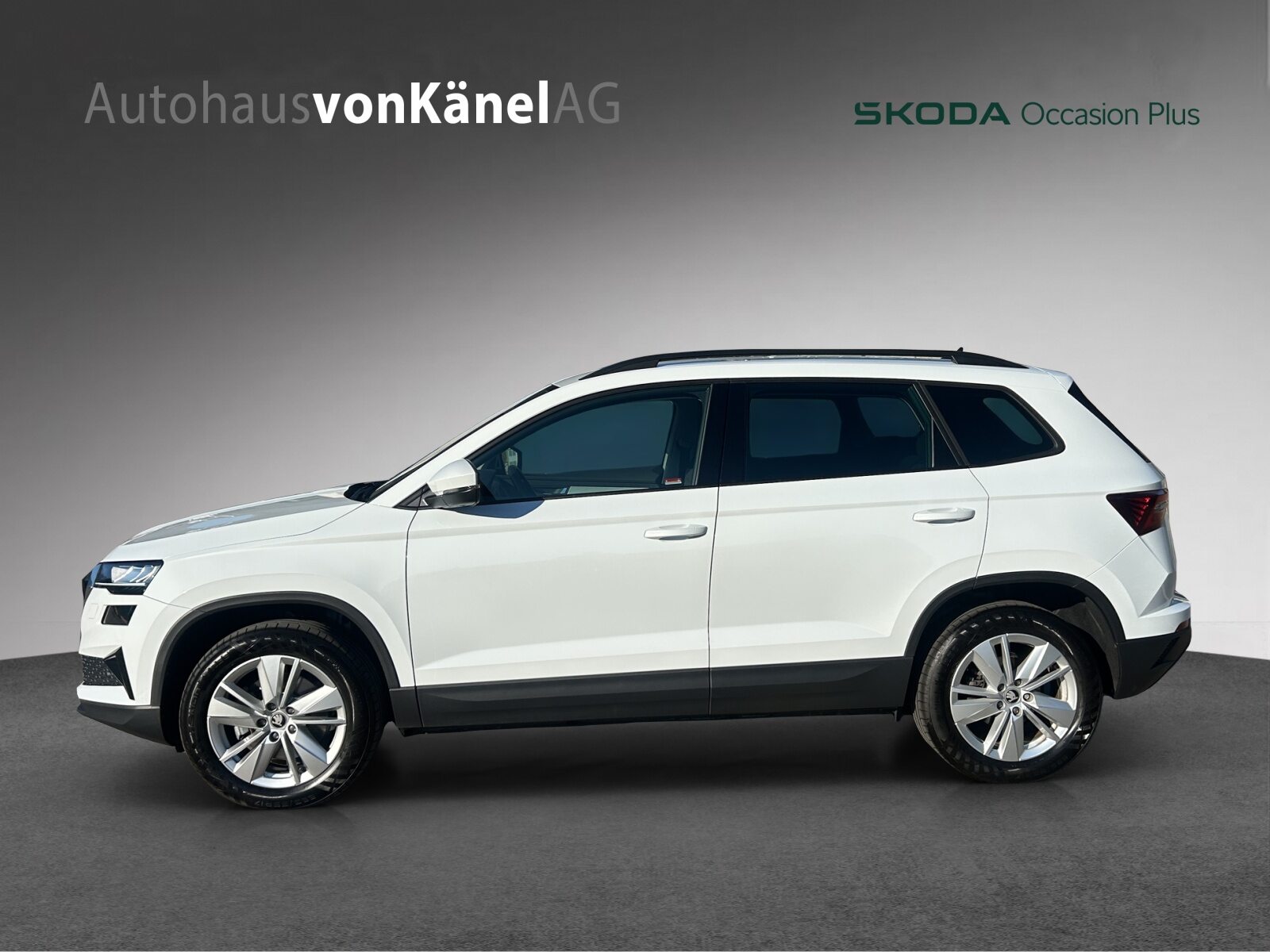 SKODA Karoq Selection, Diesel, Occasioni / Usate, Automatico - 2