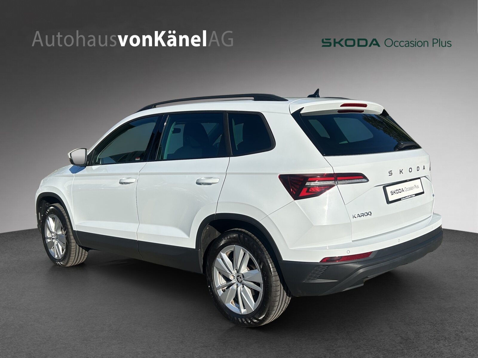 SKODA Karoq Selection, Diesel, Occasioni / Usate, Automatico - 3