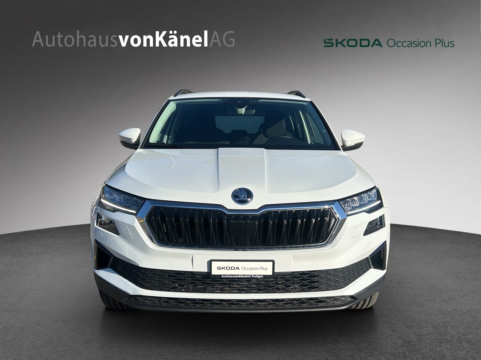 SKODA Karoq Selection, Diesel, Occasioni / Usate, Automatico - 4