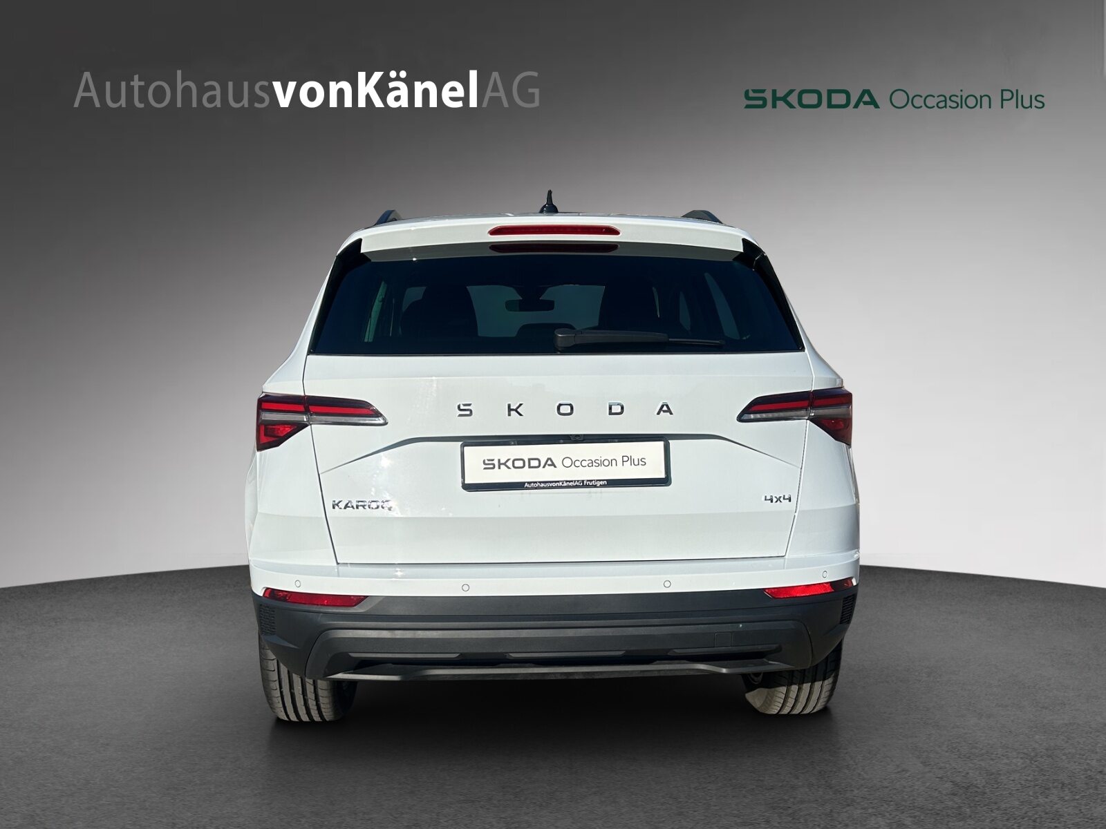 SKODA Karoq Selection, Diesel, Occasioni / Usate, Automatico - 5