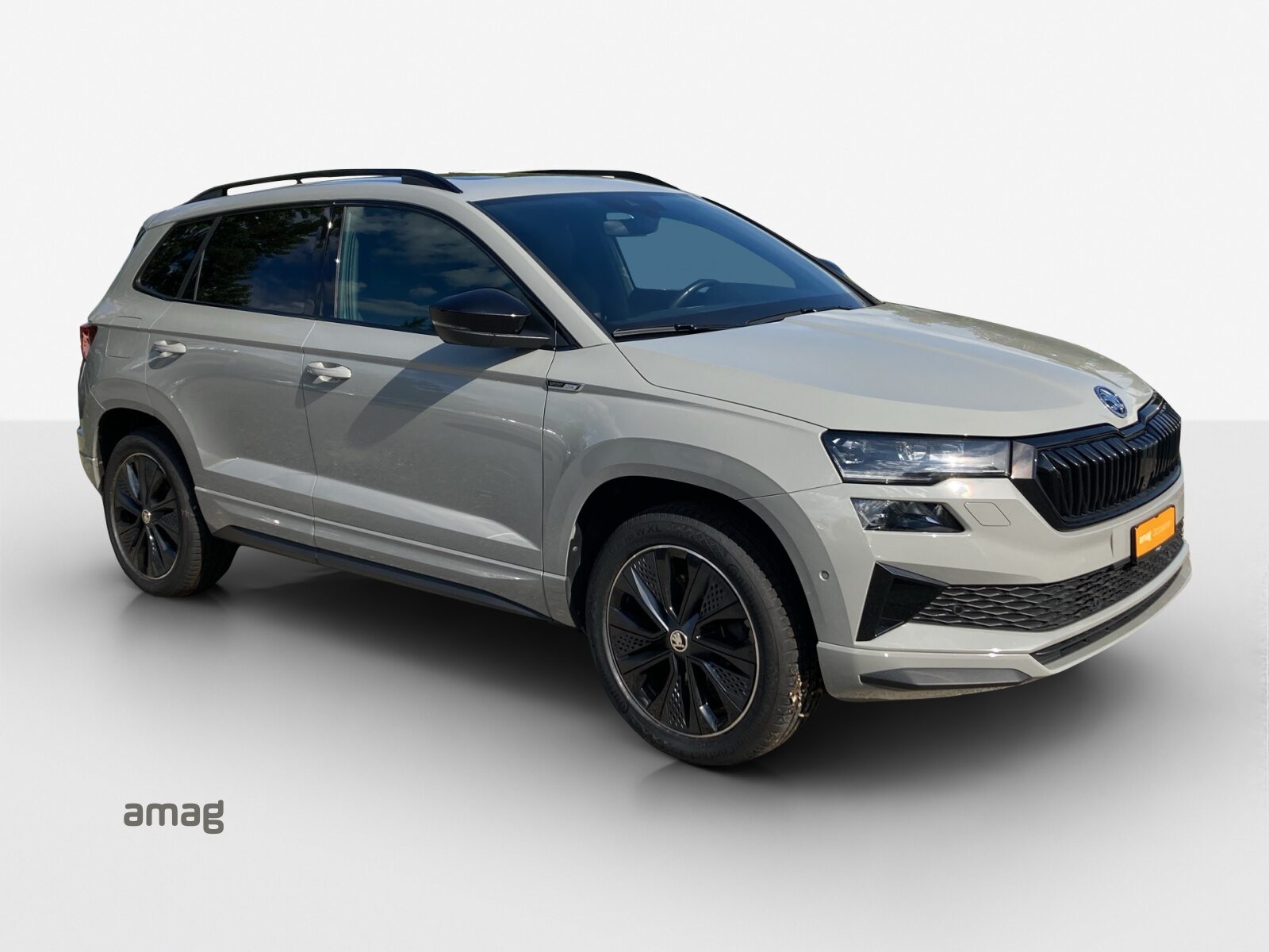 SKODA NEW KAROQ SportLine, Petrol, Second hand / Used, Automatic - 6