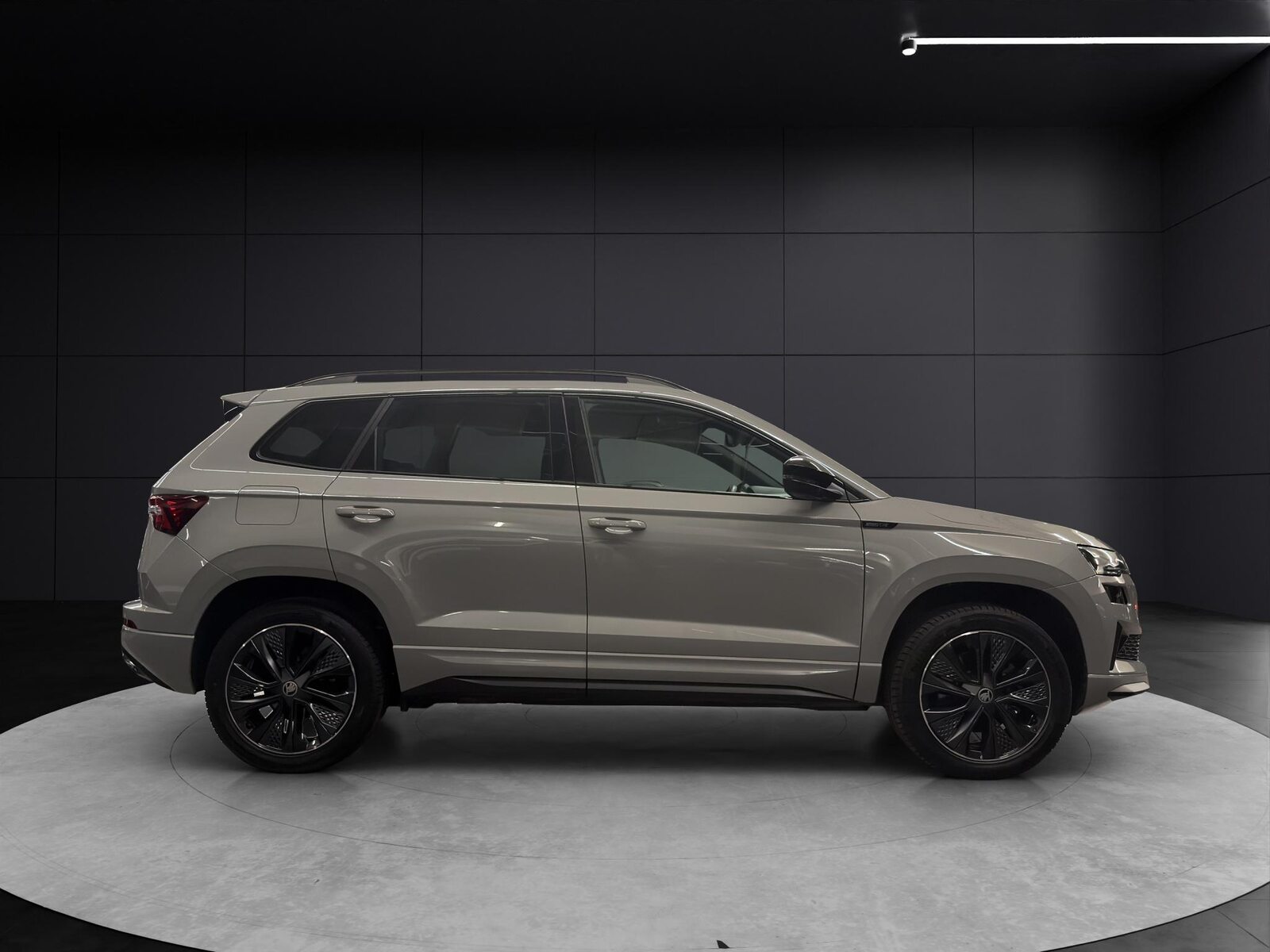 SKODA Karoq 1.5 TSI SportLine DSG, Benzina, Occasioni / Usate, Automatico - 6