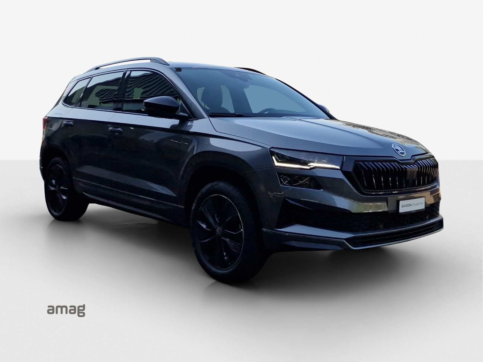 SKODA Karoq Sportline, Essence, Occasion / Utilisé, Automatique - 6