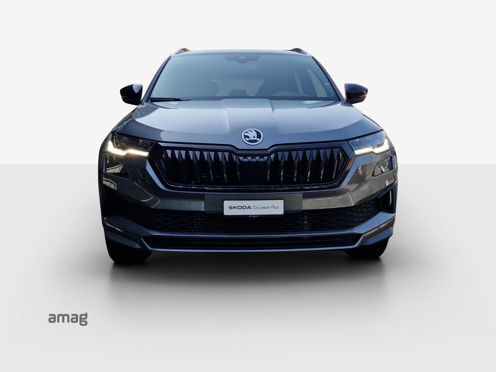SKODA Karoq Sportline, Essence, Occasion / Utilisé, Automatique - 7