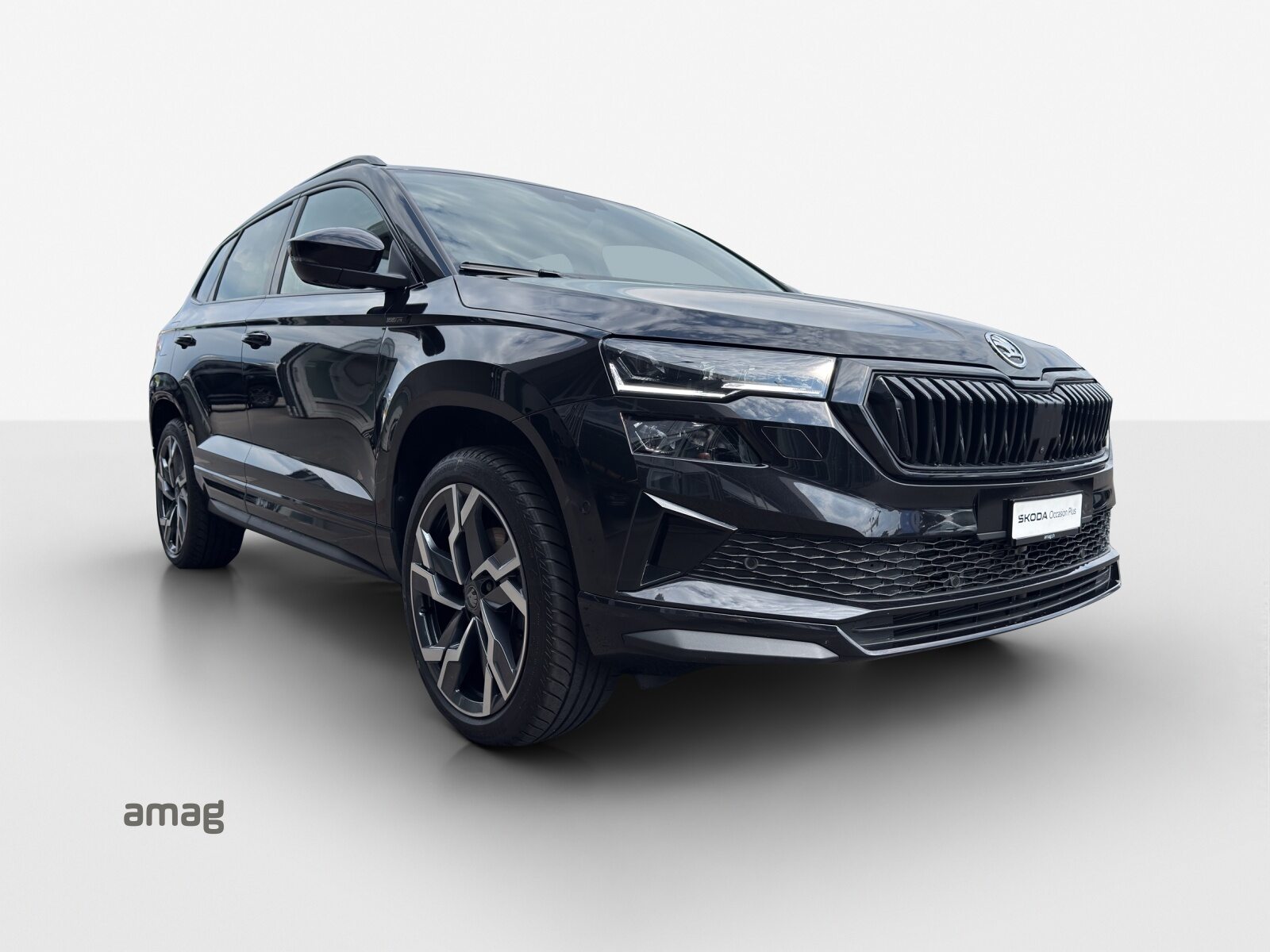 SKODA Karoq Sportline, Benzina, Occasioni / Usate, Automatico - 6