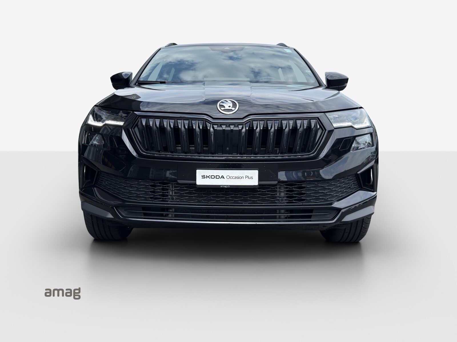 SKODA Karoq Sportline, Benzina, Occasioni / Usate, Automatico - 7