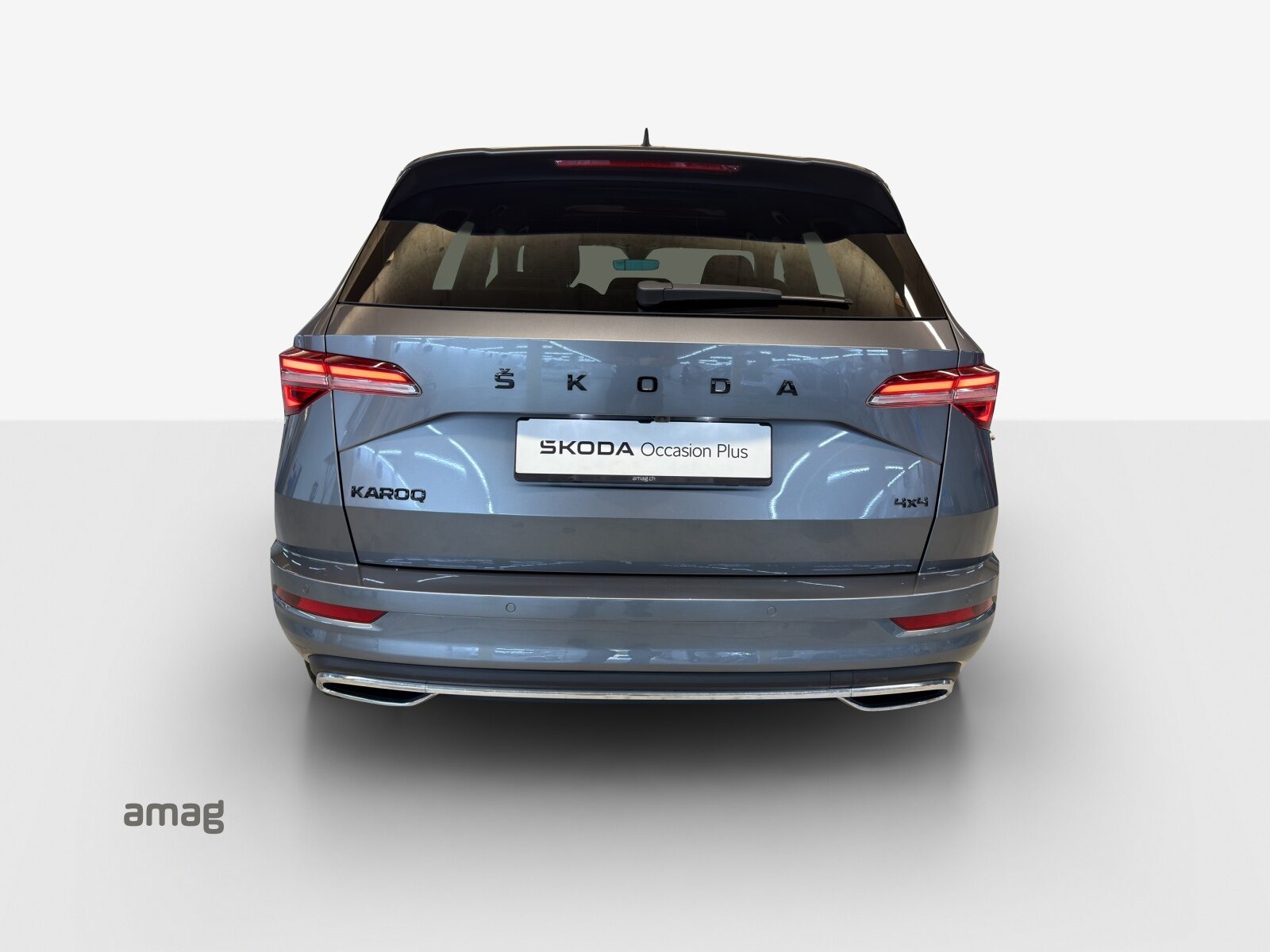 SKODA Karoq SportLine, Benzina, Occasioni / Usate, Automatico - 4