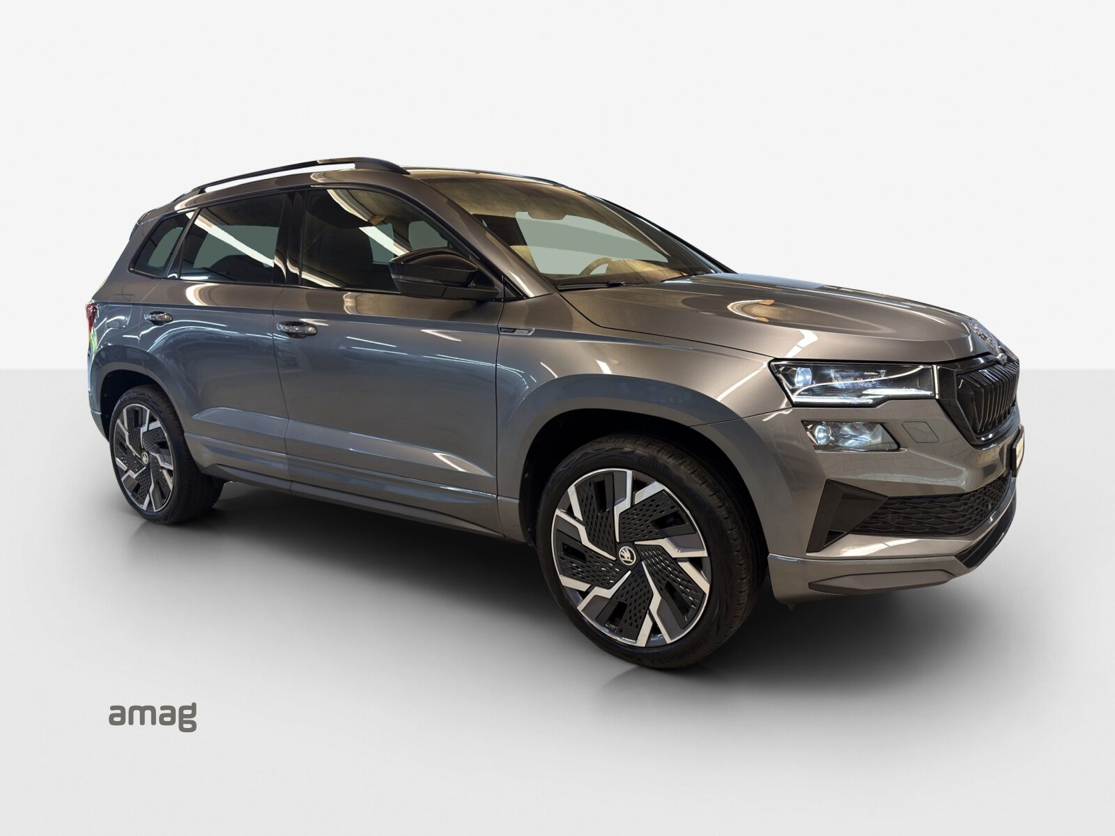 SKODA Karoq SportLine, Benzina, Occasioni / Usate, Automatico - 6