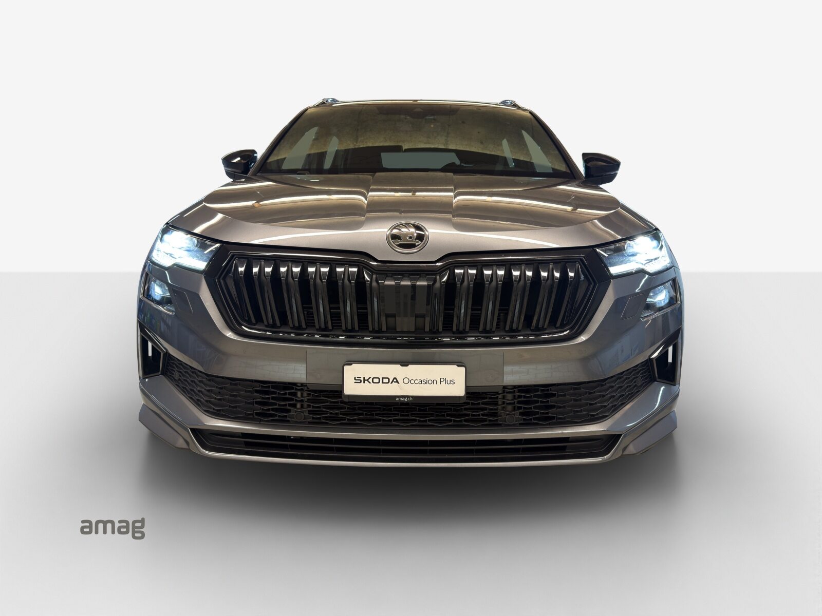 SKODA Karoq SportLine, Benzina, Occasioni / Usate, Automatico - 7