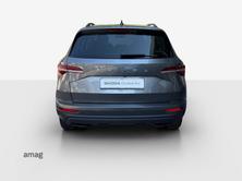 SKODA Karoq Ambition, Benzina, Occasioni / Usate, Automatico - 4