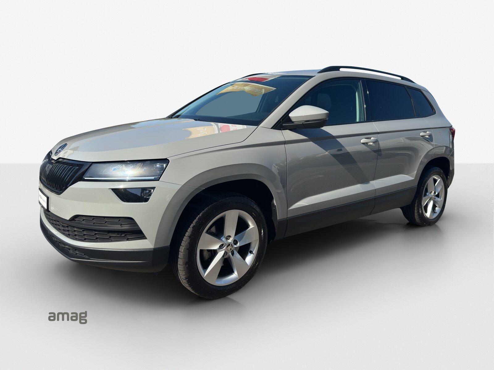 SKODA KAROQ Ambition, Benzina, Occasioni / Usate, Automatico - 2