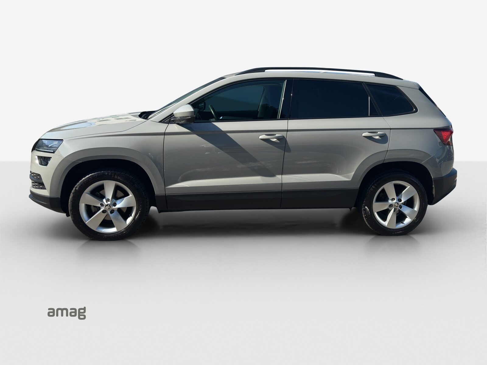 SKODA KAROQ Ambition, Benzina, Occasioni / Usate, Automatico - 3