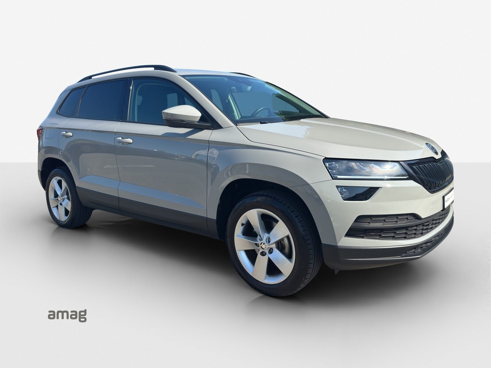 SKODA KAROQ Ambition, Benzina, Occasioni / Usate, Automatico - 7