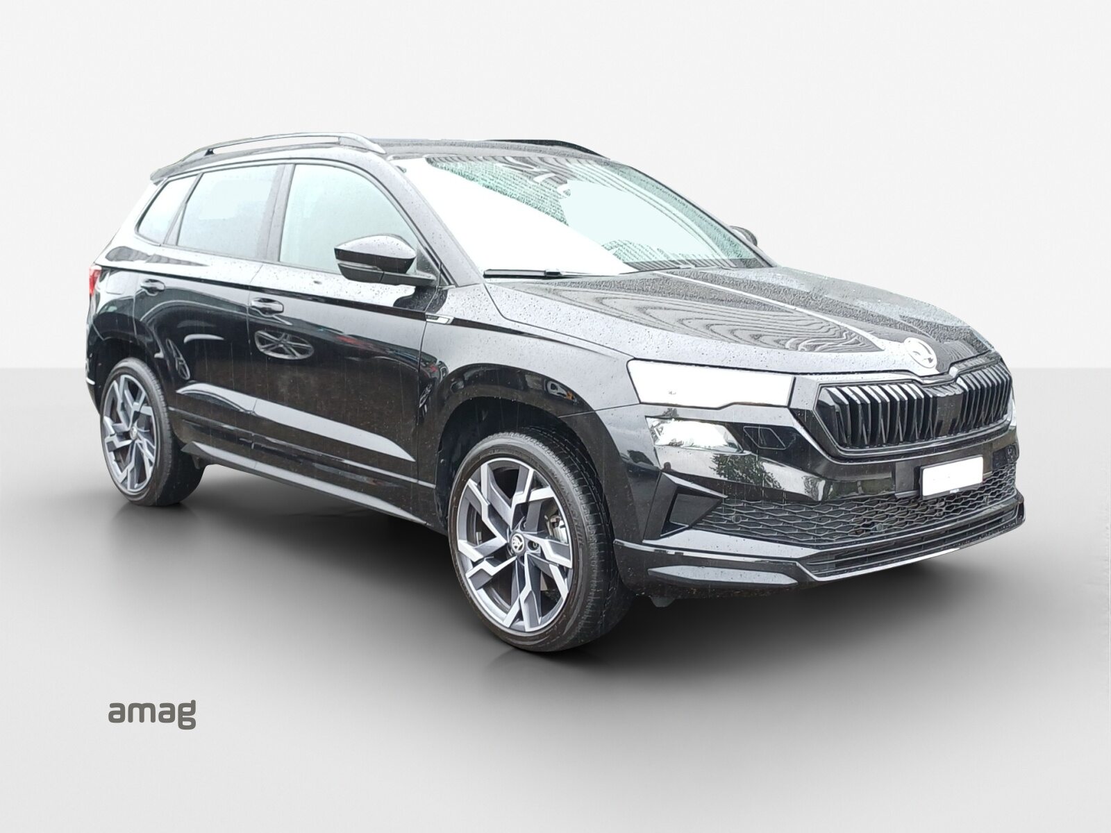 SKODA Karoq SportLine, Essence, Occasion / Utilisé, Automatique - 6