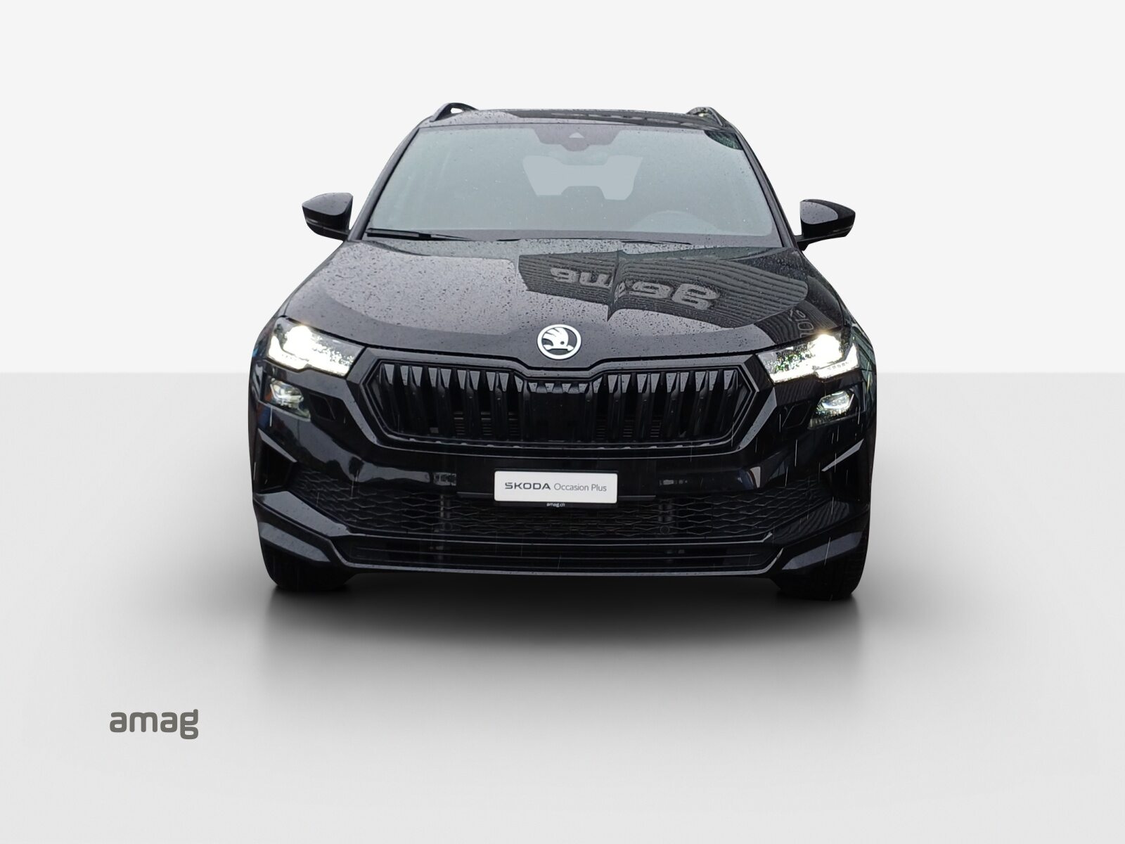 SKODA Karoq SportLine, Essence, Occasion / Utilisé, Automatique - 7