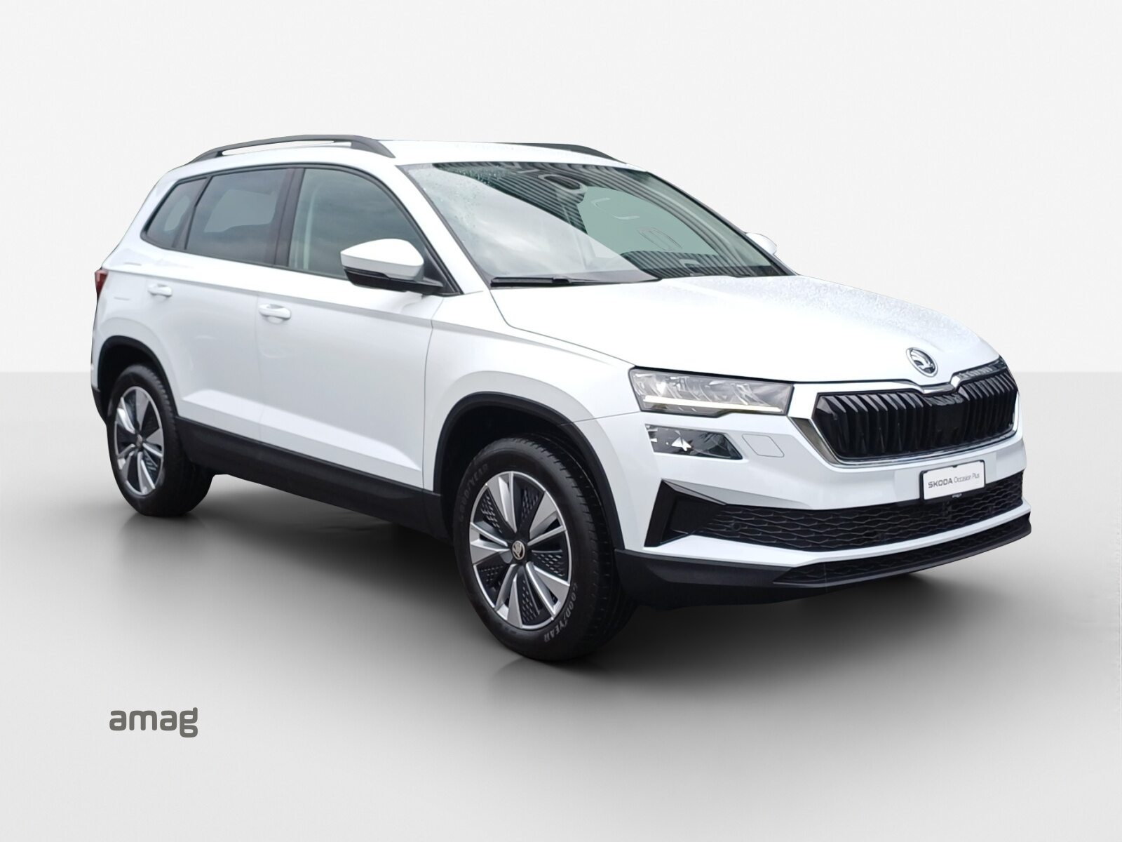 SKODA NEW KAROQ Ambition, Diesel, Occasioni / Usate, Automatico - 6