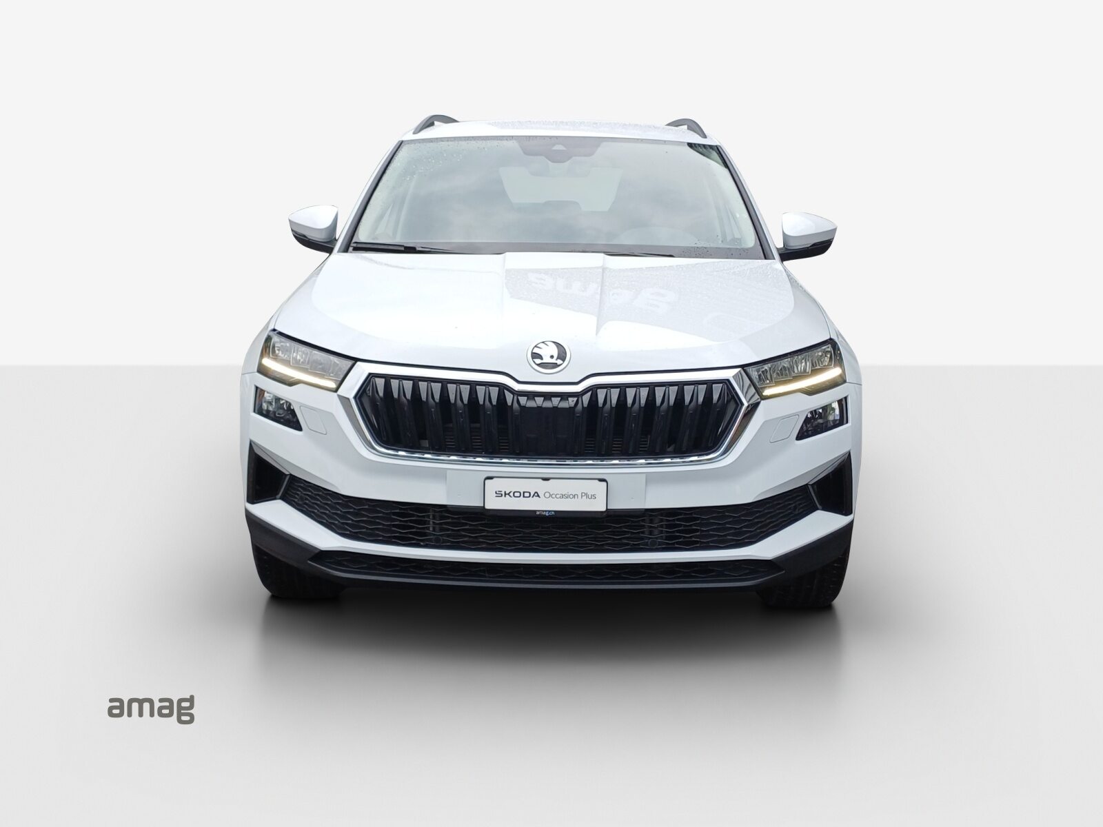 SKODA NEW KAROQ Ambition, Diesel, Occasioni / Usate, Automatico - 7