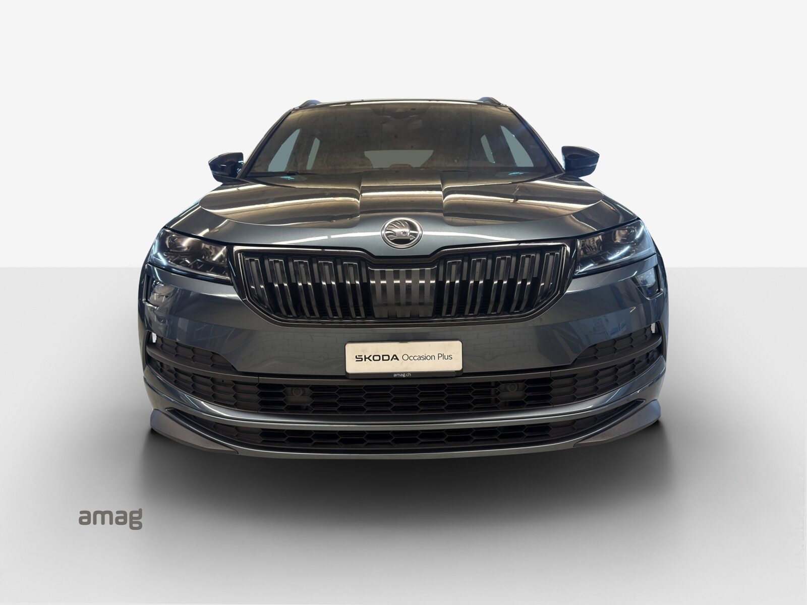 SKODA KAROQ SportLine, Benzina, Occasioni / Usate, Automatico - 7