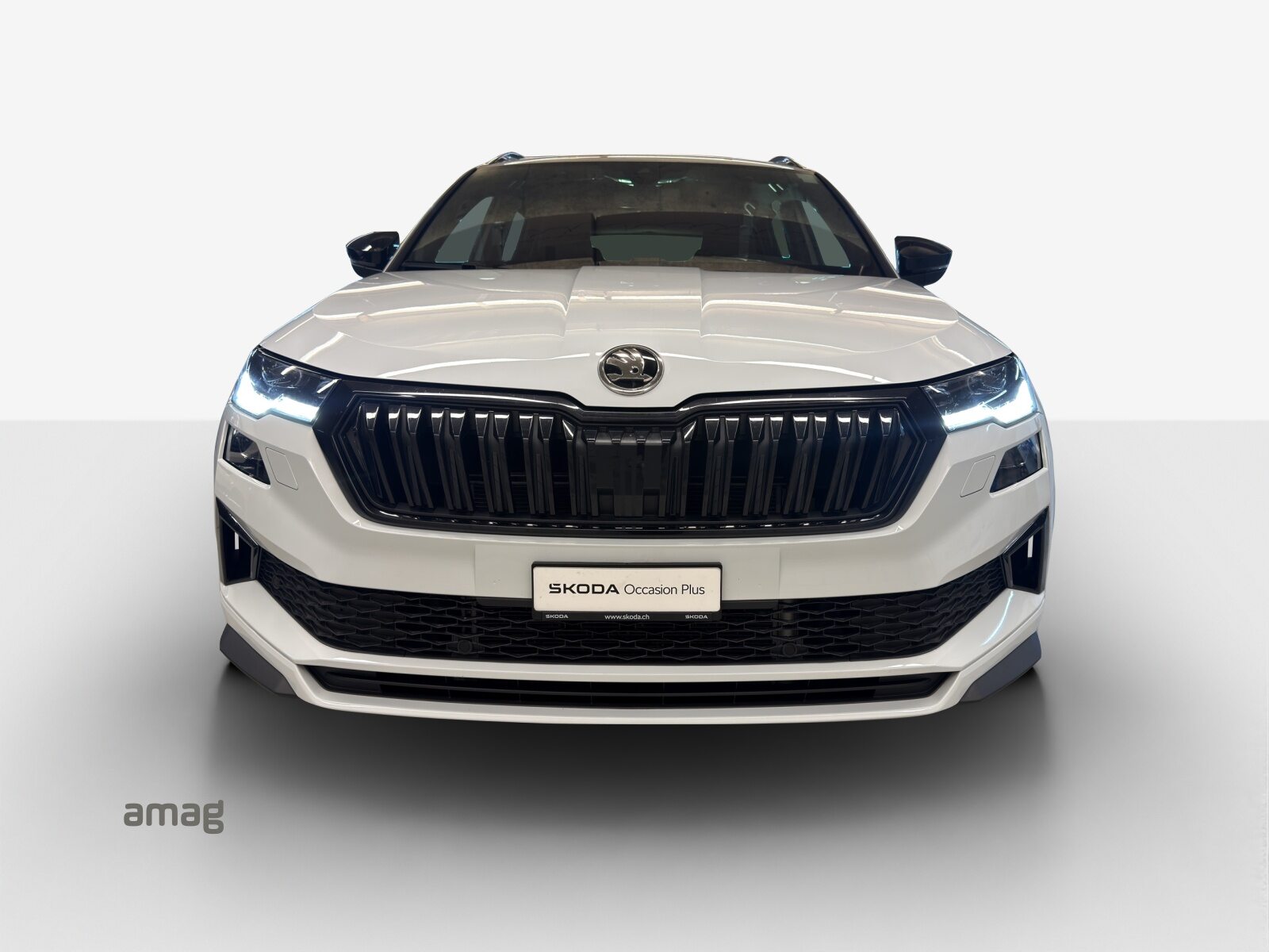 SKODA Karoq Sportline, Benzina, Occasioni / Usate, Automatico - 7